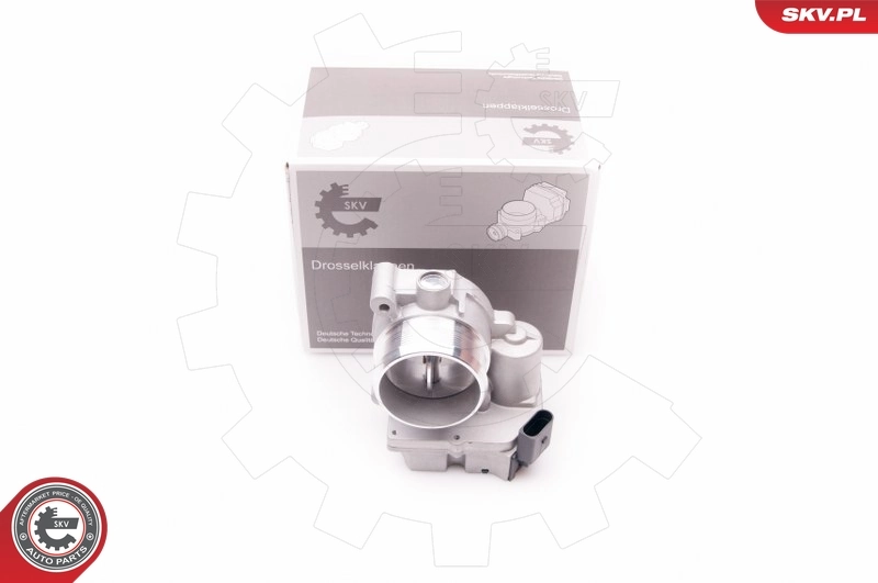 Throttle Body